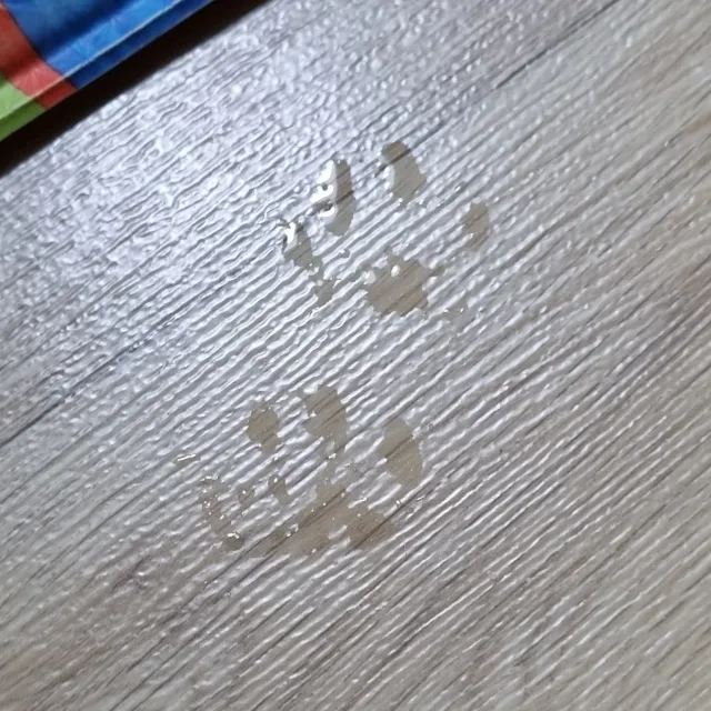땅근당근
