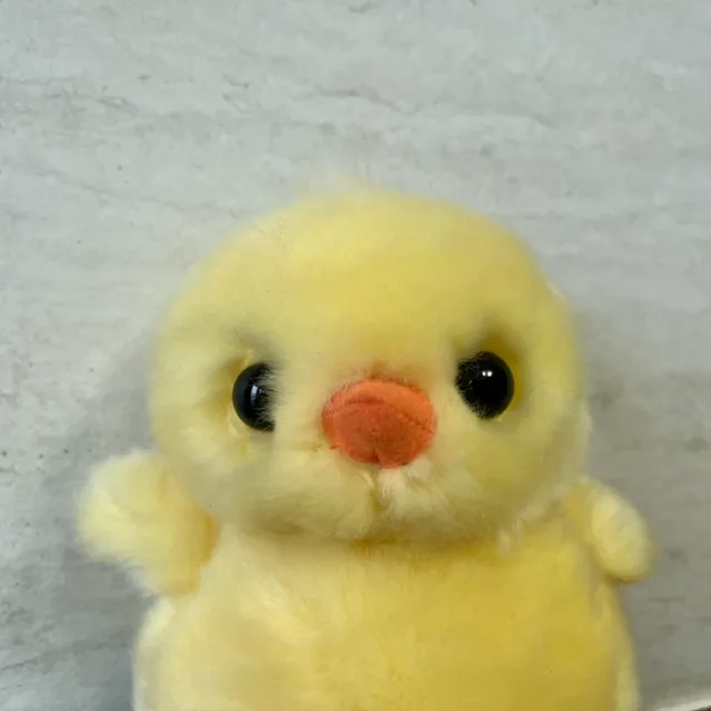 뚱이