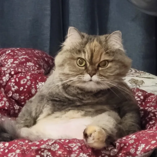 친절한뭉치씨