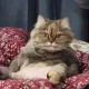 친절한뭉치씨