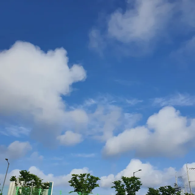 세아들