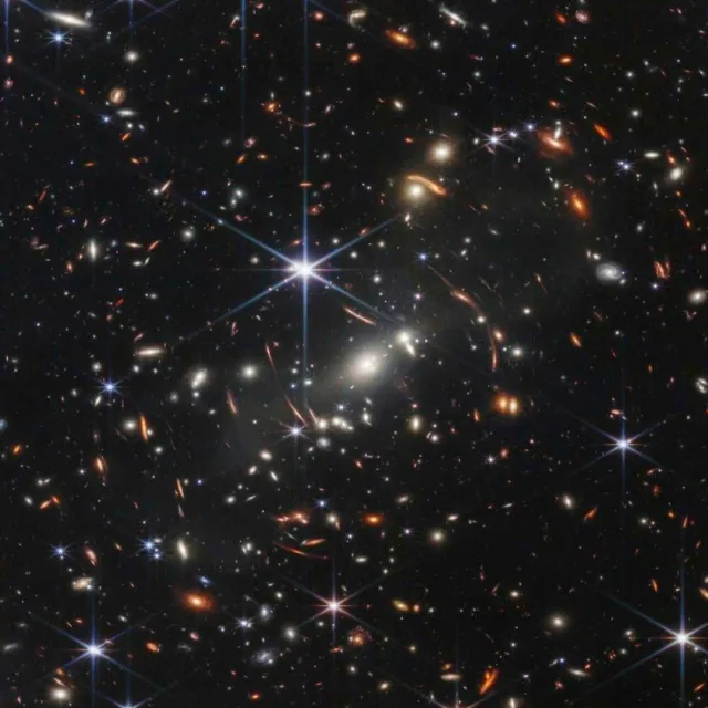 cosmos