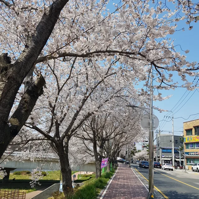 희망이