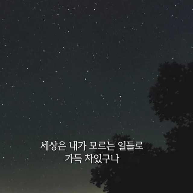 네모의꿈
