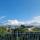 데니