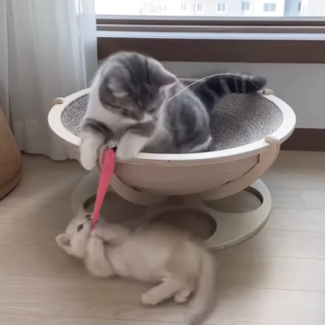 우ahHa게