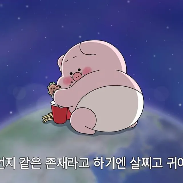 당근당근