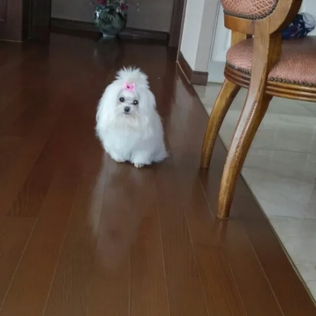 온유