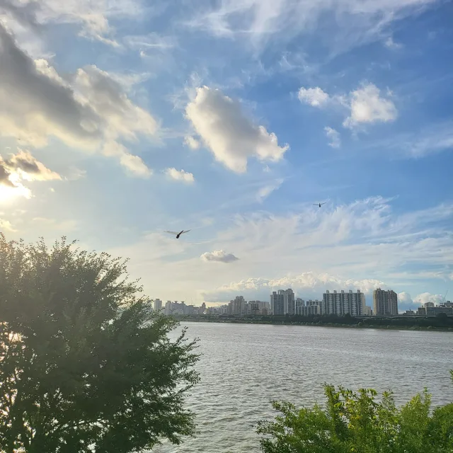 지야씨