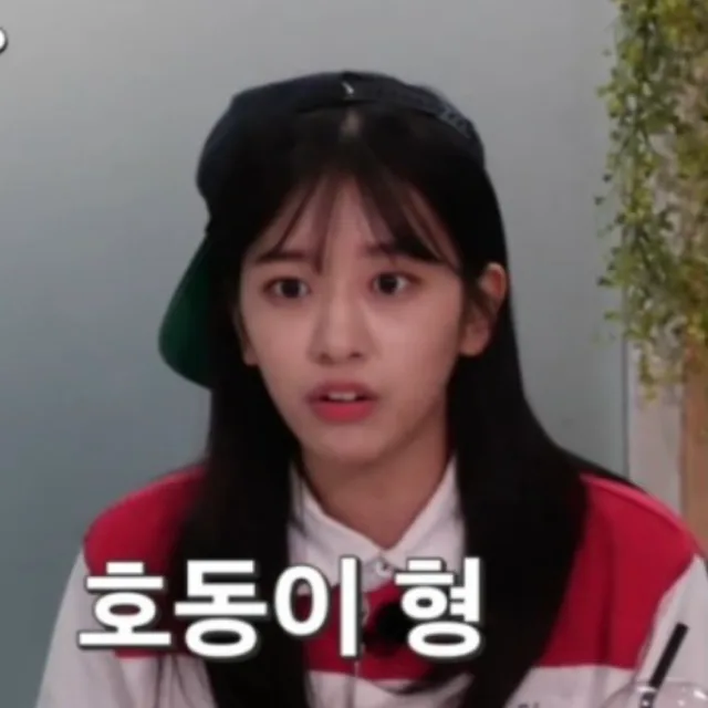 호동이형
