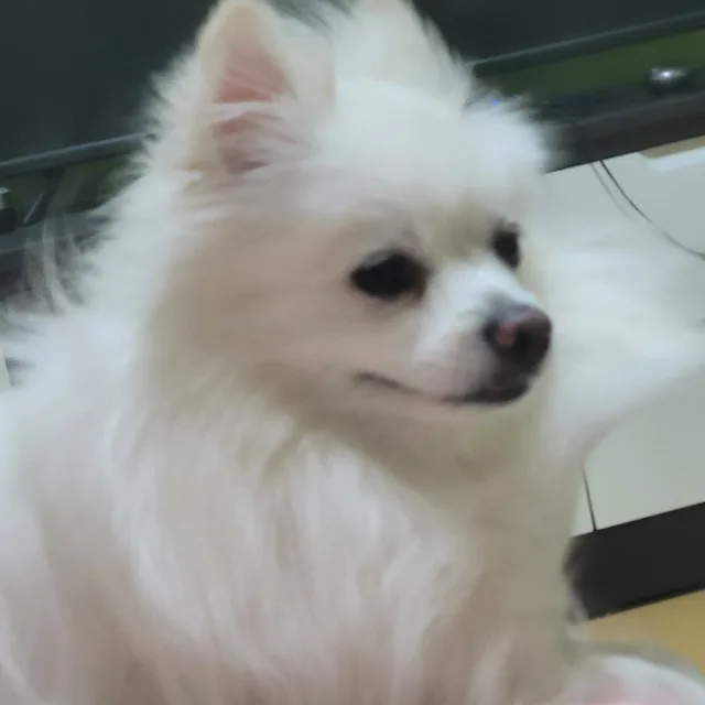 루비
