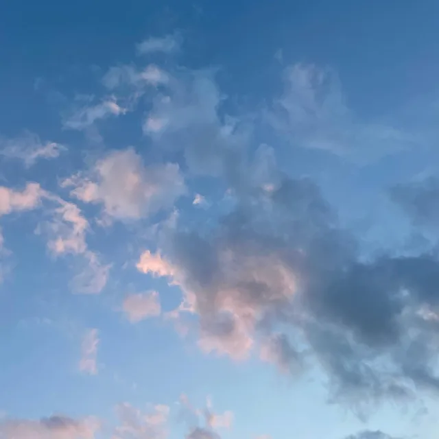 교통요정