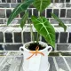 바람의화원