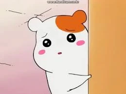 엣취