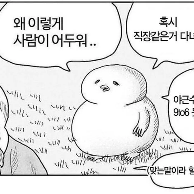 백수가좋아요