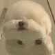 마천동불주먹