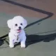 두두hi
