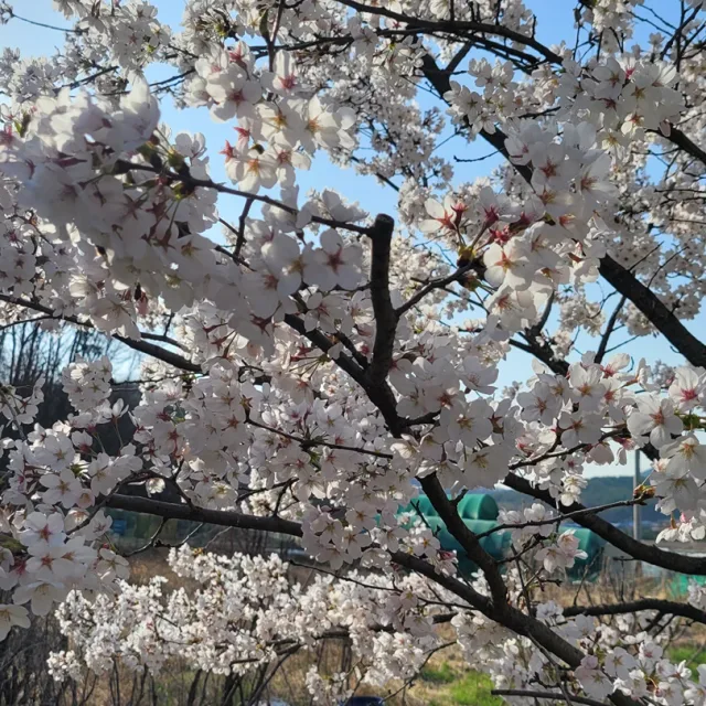 도라에몽
