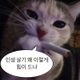 뉴비의시장놀이