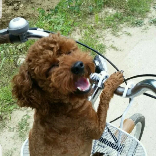 세월의향기