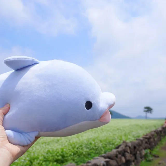 앤지