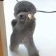 망원동망나니