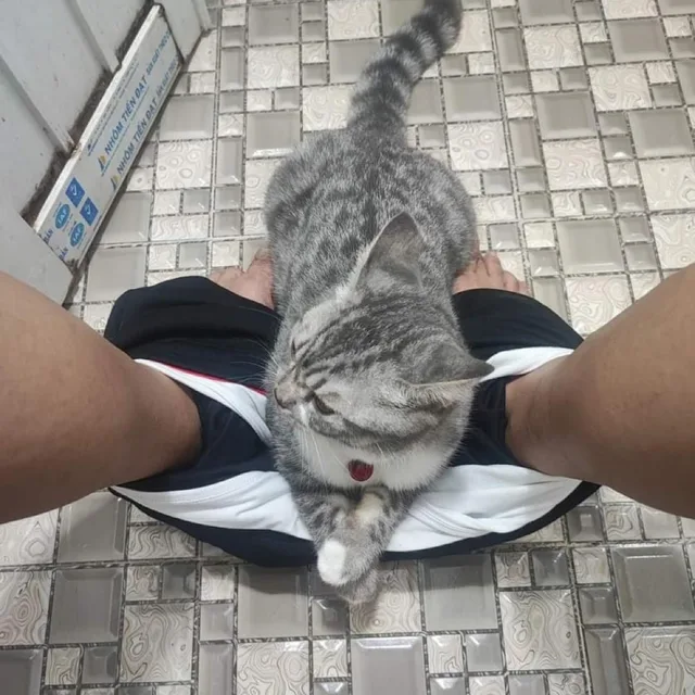 스낵우유
