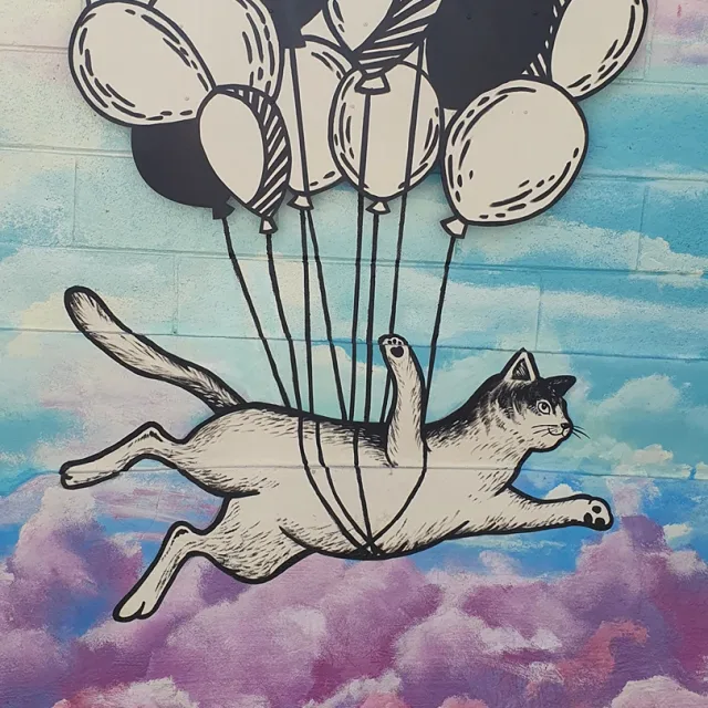 profile
