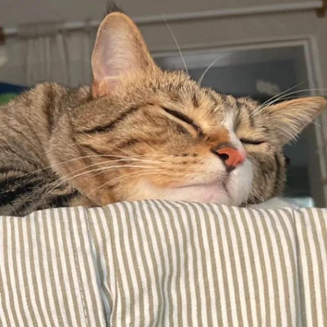 00