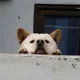 후후