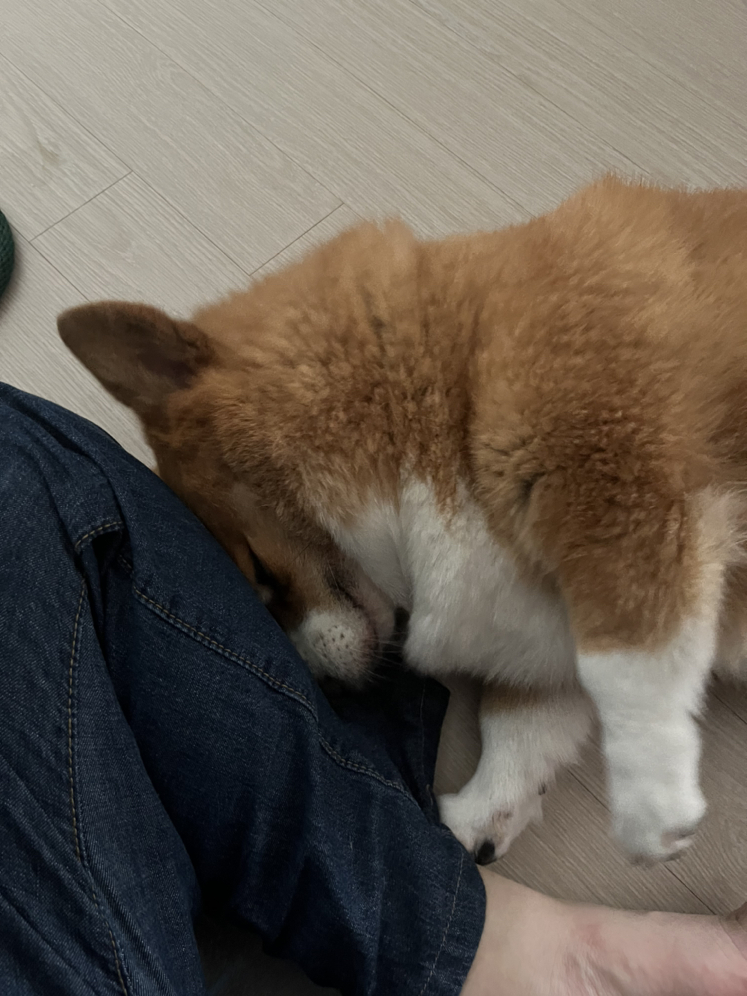 스트리트파이터타코