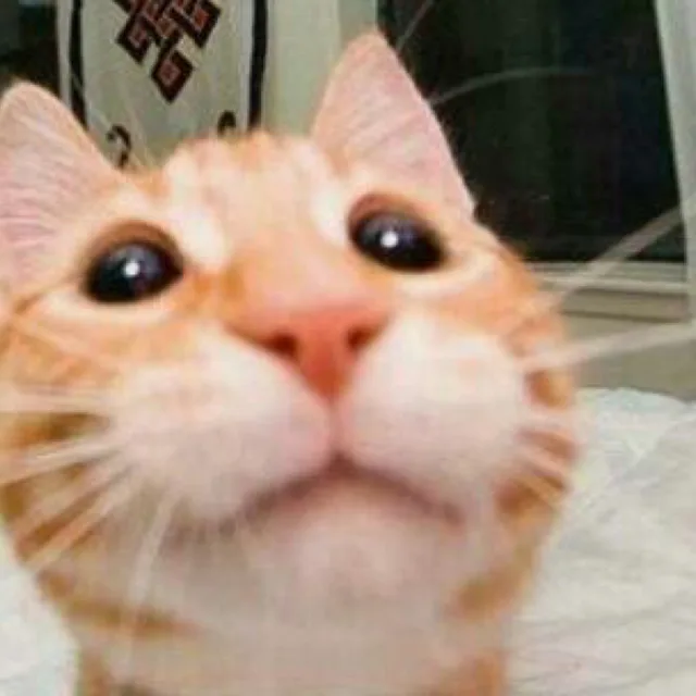 뚜뚜스또스