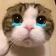 ssssssss