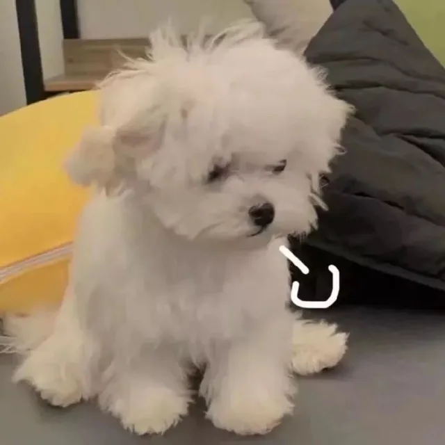 후유우우