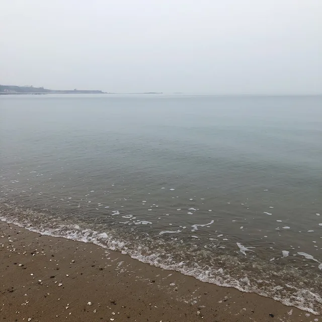 매너거래