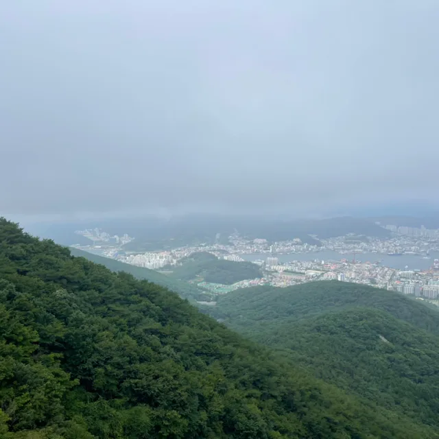 메르테르션