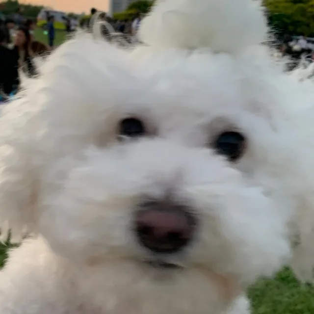 뚜꿍