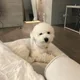 개편한땡초