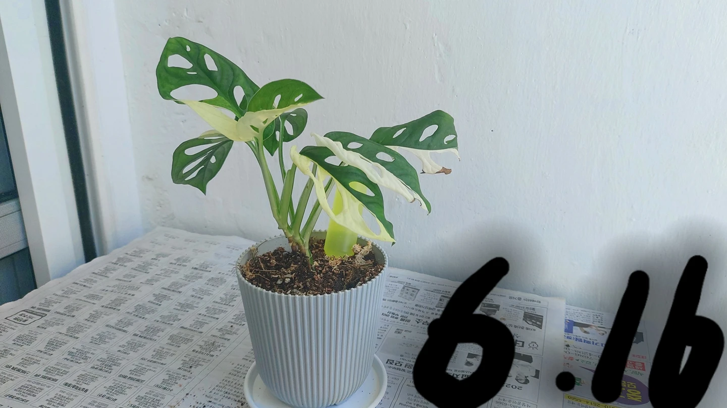 오솔길