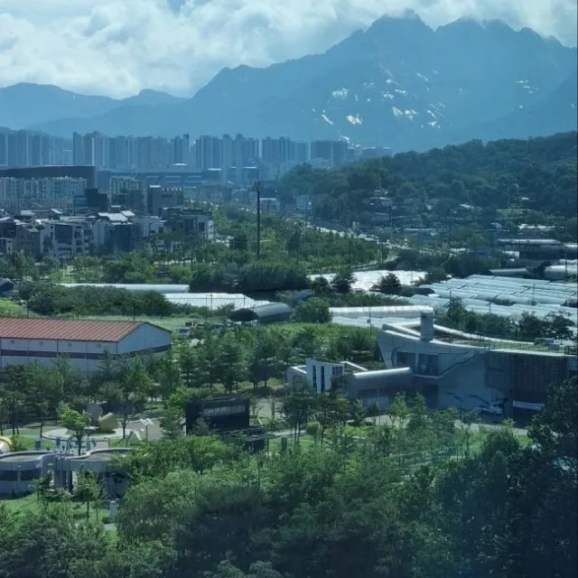 인천에서온사람