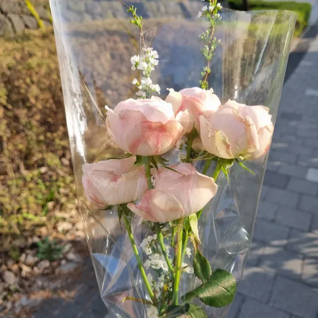 당근감사