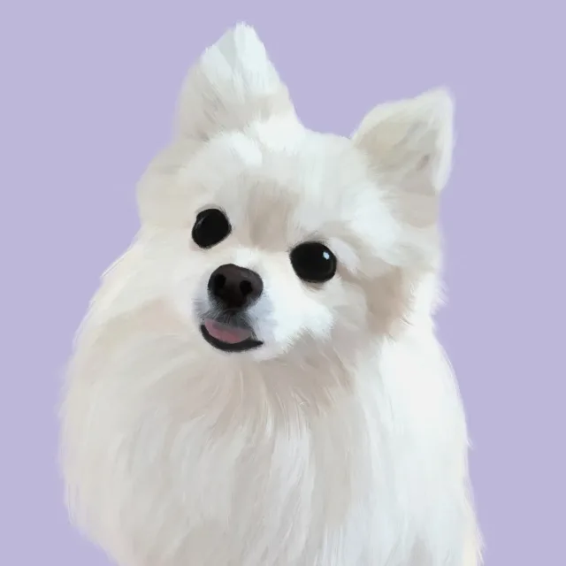 꾸꾸테디