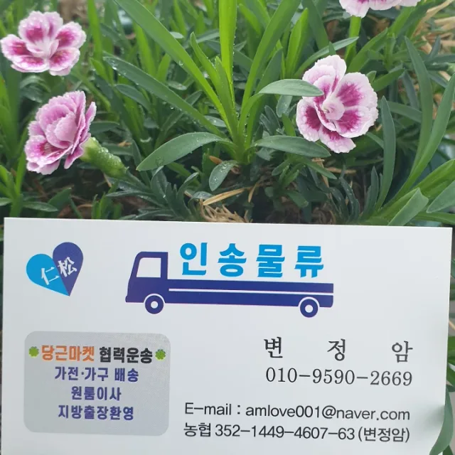 용달