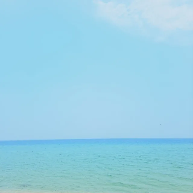 봉봉
