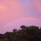 개포동타미