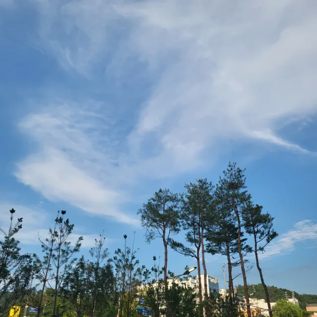 닉네임