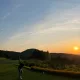 당근베이비
