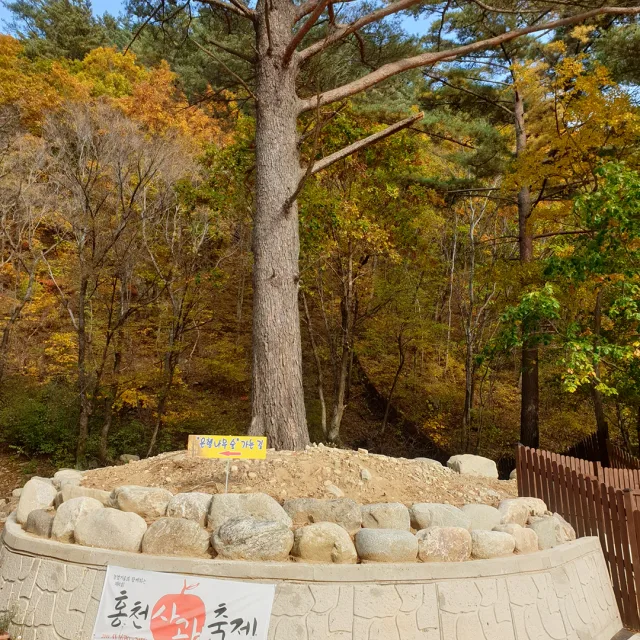 고수