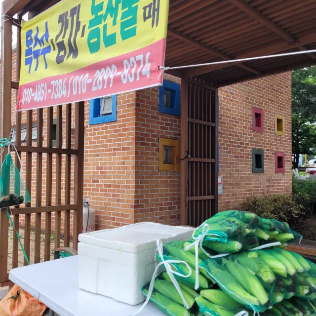 옥수수최고