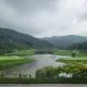 샨메이
